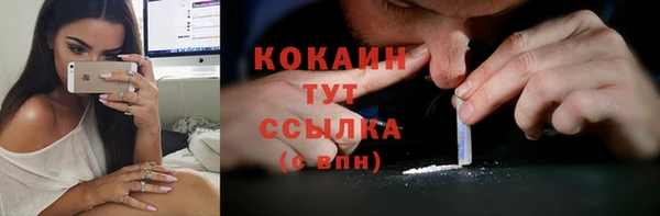 тгк Аркадак